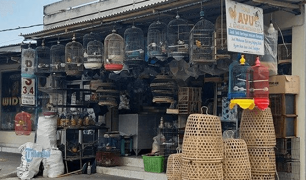 Toko Burung Sejahtera